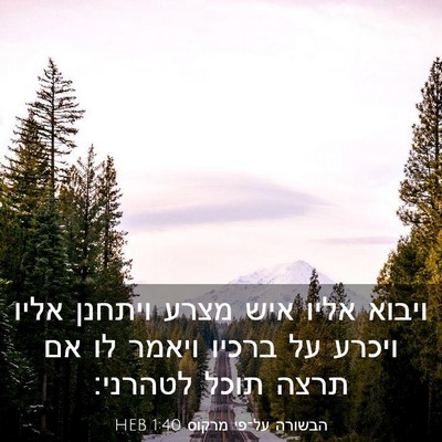 Picture 03 - הבשורה על־פי מרקוס 1:40 HEB - ויבוא אליו איש מצרע ויתחנן - Bible Verse Picture