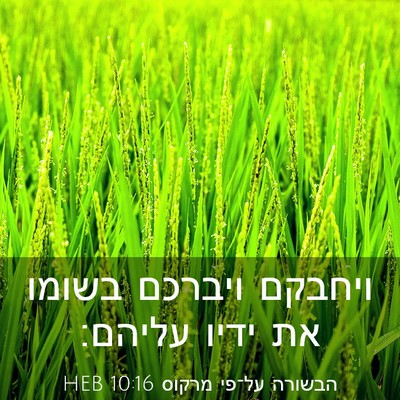 Picture 03 - הבשורה על־פי מרקוס 10:16 HEB - ויחבקם ויברכם בשומו את - Bible Verse Picture