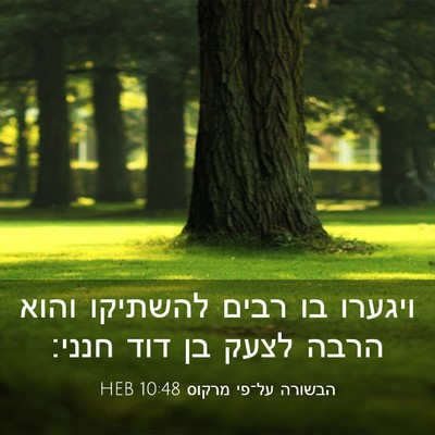 Picture 03 - הבשורה על־פי מרקוס 10:48 HEB - ויגערו בו רבים להשתיקו - Bible Verse Picture