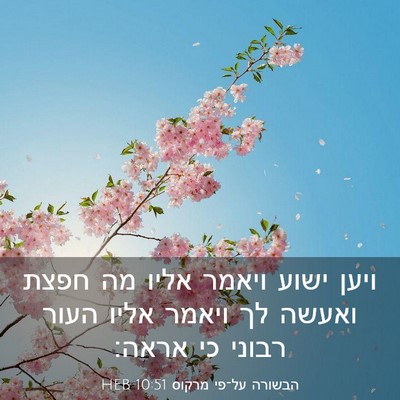 Picture 03 - הבשורה על־פי מרקוס 10:51 HEB - ויען ישוע ויאמר אליו מה - Bible Verse Picture