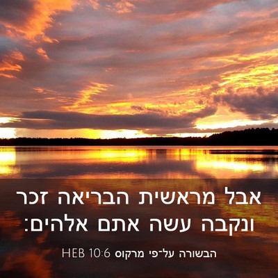 Picture 03 - הבשורה על־פי מרקוס 10:6 HEB - אבל מראשית הבריאה זכר - Bible Verse Picture