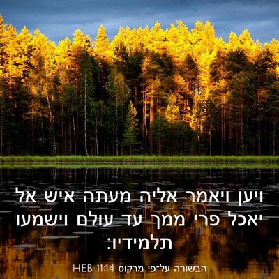 Picture 03 - הבשורה על־פי מרקוס 11:14 HEB - ויען ויאמר אליה מעתה איש אל - Bible Verse Picture