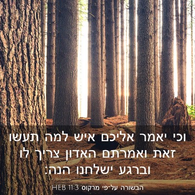 Picture 03 - הבשורה על־פי מרקוס 11:3 HEB - וכי יאמר אליכם איש למה תעשו - Bible Verse Picture