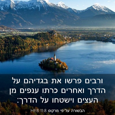 Picture 03 - הבשורה על־פי מרקוס 11:8 HEB - ורבים פרשו את בגדיהם על - Bible Verse Picture