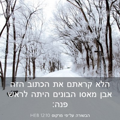 Picture 03 - הבשורה על־פי מרקוס 12:10 HEB - הלא קראתם את הכתוב הזה אבן - Bible Verse Picture