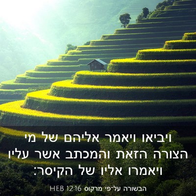 Picture 03 - הבשורה על־פי מרקוס 12:16 HEB - ויביאו ויאמר אליהם של מי - Bible Verse Picture