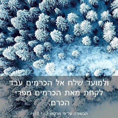 Picture 03 - הבשורה על־פי מרקוס 12:2 HEB - ולמועד שלח אל הכרמים עבד - Bible Verse Picture