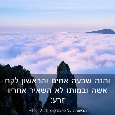 Picture 03 - הבשורה על־פי מרקוס 12:20 HEB - והנה שבעה אחים והראשון לקח - Bible Verse Picture