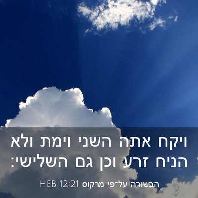 Picture 03 - הבשורה על־פי מרקוס 12:21 HEB - ויקח אתה השני וימת ולא הניח - Bible Verse Picture