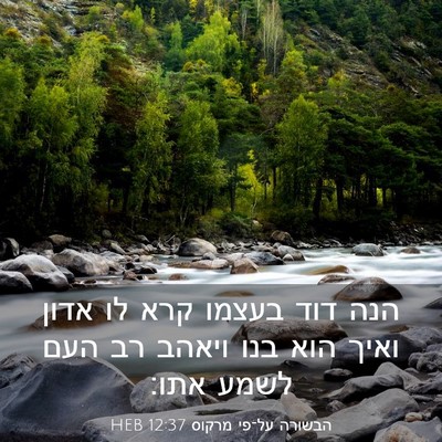 Picture 03 - הבשורה על־פי מרקוס 12:37 HEB - הנה דוד בעצמו קרא לו אדון - Bible Verse Picture