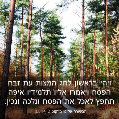 Picture 03 - הבשורה על־פי מרקוס 14:12 HEB - ויהי בראשון לחג המצות עת - Bible Verse Picture