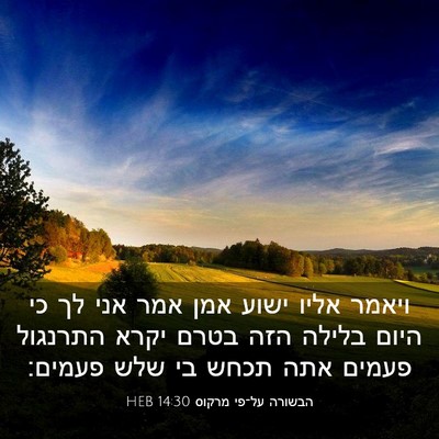 Picture 03 - הבשורה על־פי מרקוס 14:30 HEB - ויאמר אליו ישוע אמן אמר אני - Bible Verse Picture