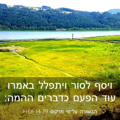Picture 03 - הבשורה על־פי מרקוס 14:39 HEB - ויסף לסור ויתפלל באמרו עוד - Bible Verse Picture