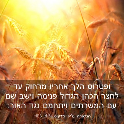 Picture 03 - הבשורה על־פי מרקוס 14:54 HEB - ופטרוס הלך אחריו מרחוק עד - Bible Verse Picture