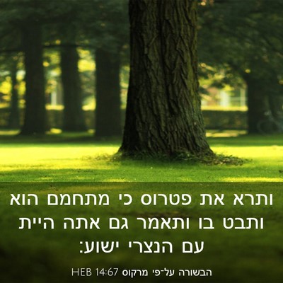 Picture 03 - הבשורה על־פי מרקוס 14:67 HEB - ותרא את פטרוס כי מתחמם הוא - Bible Verse Picture