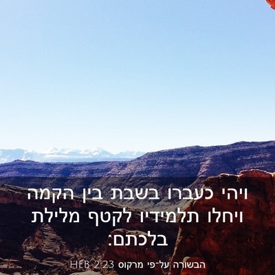 Picture 03 - הבשורה על־פי מרקוס 2:23 HEB - ויהי כעברו בשבת בין הקמה - Bible Verse Picture