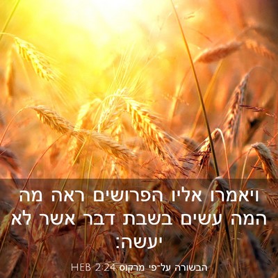 Picture 03 - הבשורה על־פי מרקוס 2:24 HEB - ויאמרו אליו הפרושים ראה מה - Bible Verse Picture