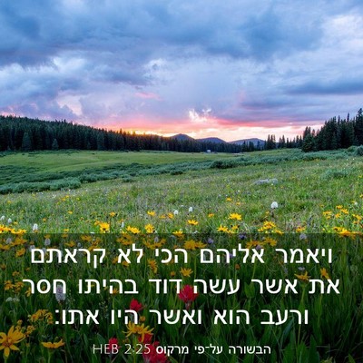 Picture 03 - הבשורה על־פי מרקוס 2:25 HEB - ויאמר אליהם הכי לא קראתם את - Bible Verse Picture