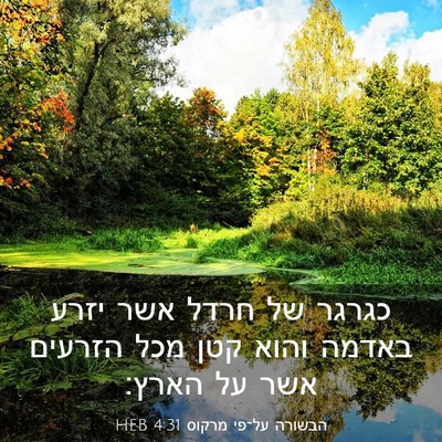 Picture 03 - הבשורה על־פי מרקוס 4:31 HEB - כגרגר של חרדל אשר יזרע - Bible Verse Picture