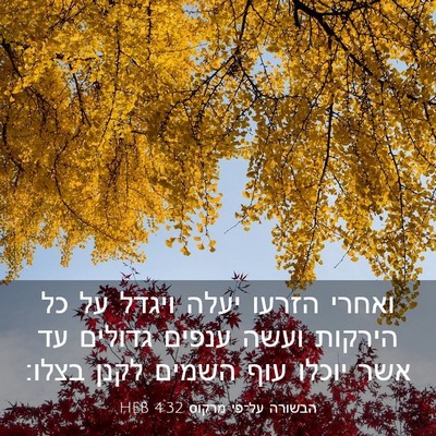 Picture 03 - הבשורה על־פי מרקוס 4:32 HEB - ואחרי הזרעו יעלה ויגדל על - Bible Verse Picture