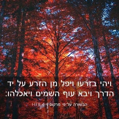 Picture 03 - הבשורה על־פי מרקוס 4:4 HEB - ויהי בזרעו ויפל מן הזרע על - Bible Verse Picture