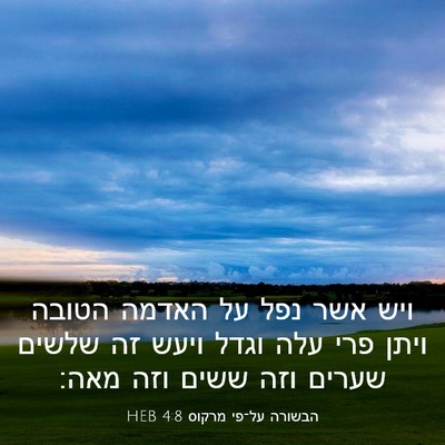 Picture 03 - הבשורה על־פי מרקוס 4:8 HEB - ויש אשר נפל על האדמה הטובה - Bible Verse Picture