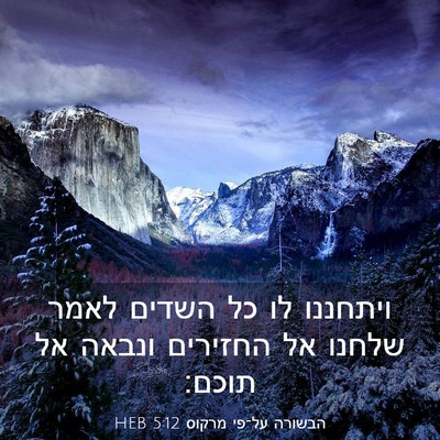 Picture 03 - הבשורה על־פי מרקוס 5:12 HEB - ויתחננו לו כל השדים לאמר - Bible Verse Picture