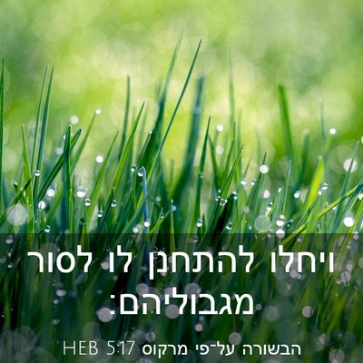 Picture 03 - הבשורה על־פי מרקוס 5:17 HEB - ויחלו להתחנן לו לסור - Bible Verse Picture