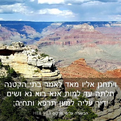 Picture 03 - הבשורה על־פי מרקוס 5:23 HEB - ויתחנן אליו מאד לאמר בתי - Bible Verse Picture