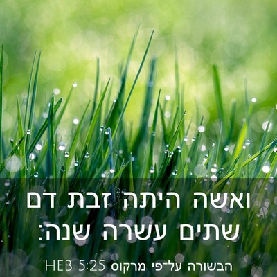 Picture 03 - הבשורה על־פי מרקוס 5:25 HEB - ואשה היתה זבת דם שתים עשרה - Bible Verse Picture