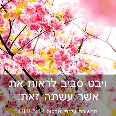 Picture 03 - הבשורה על־פי מרקוס 5:32 HEB - ויבט סביב לראות את אשר עשתה - Bible Verse Picture