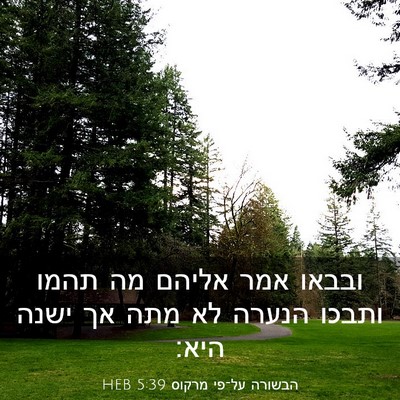 Picture 03 - הבשורה על־פי מרקוס 5:39 HEB - ובבאו אמר אליהם מה תהמו - Bible Verse Picture