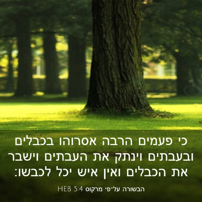Picture 03 - הבשורה על־פי מרקוס 5:4 HEB - כי פעמים הרבה אסרוהו - Bible Verse Picture