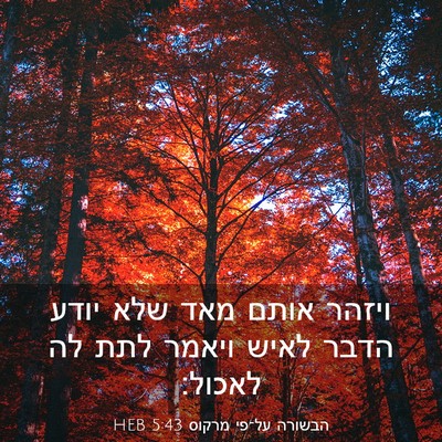 Picture 03 - הבשורה על־פי מרקוס 5:43 HEB - ויזהר אותם מאד שלא יודע - Bible Verse Picture