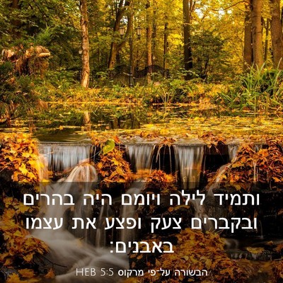 Picture 03 - הבשורה על־פי מרקוס 5:5 HEB - ותמיד לילה ויומם היה בהרים - Bible Verse Picture