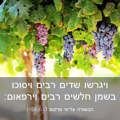 Picture 03 - הבשורה על־פי מרקוס 6:13 HEB - ויגרשו שדים רבים ויסוכו - Bible Verse Picture