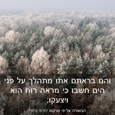 Picture 03 - הבשורה על־פי מרקוס 6:49 HEB - והם בראתם אתו מתהלך על פני - Bible Verse Picture