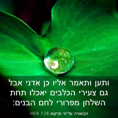 Picture 03 - הבשורה על־פי מרקוס 7:28 HEB - ותען ותאמר אליו כן אדני אבל - Bible Verse Picture