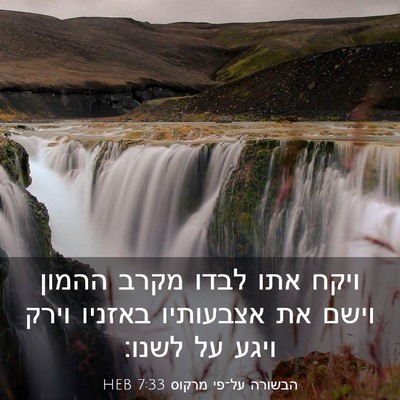Picture 03 - הבשורה על־פי מרקוס 7:33 HEB - ויקח אתו לבדו מקרב ההמון - Bible Verse Picture