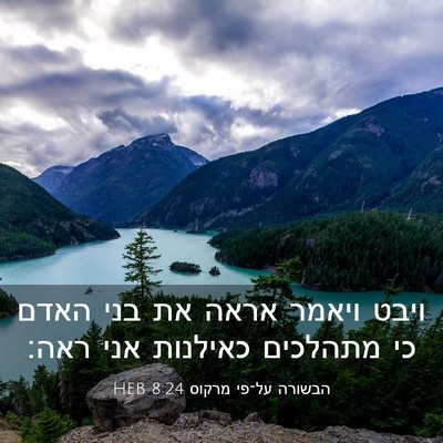 Picture 03 - הבשורה על־פי מרקוס 8:24 HEB - ויבט ויאמר אראה את בני האדם - Bible Verse Picture