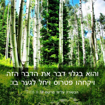 Picture 03 - הבשורה על־פי מרקוס 8:32 HEB - והוא בגלוי דבר את הדבר הזה - Bible Verse Picture