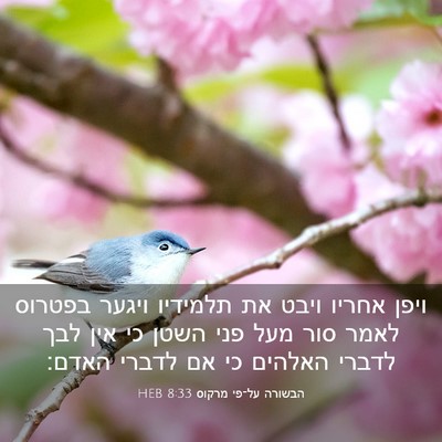 Picture 03 - הבשורה על־פי מרקוס 8:33 HEB - ויפן אחריו ויבט את תלמידיו - Bible Verse Picture