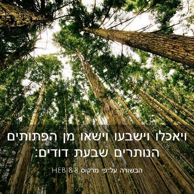 Picture 03 - הבשורה על־פי מרקוס 8:8 HEB - ויאכלו וישבעו וישאו מן - Bible Verse Picture