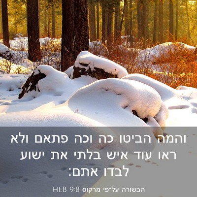 Picture 03 - הבשורה על־פי מרקוס 9:8 HEB - והמה הביטו כה וכה פתאם ולא - Bible Verse Picture
