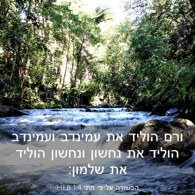 Picture 03 - הבשורה על־פי מתי 1:4 HEB - ורם הוליד את עמינדב - Bible Verse Picture