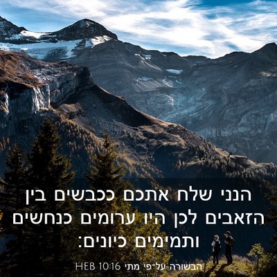 Picture 03 - הבשורה על־פי מתי 10:16 HEB - הנני שלח אתכם ככבשים בין - Bible Verse Picture