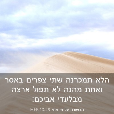 Picture 03 - הבשורה על־פי מתי 10:29 HEB - הלא תמכרנה שתי צפרים באסר - Bible Verse Picture