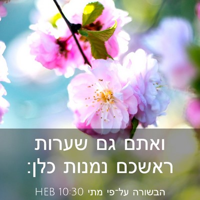 Picture 03 - הבשורה על־פי מתי 10:30 HEB - ואתם גם שערות ראשכם נמנות - Bible Verse Picture