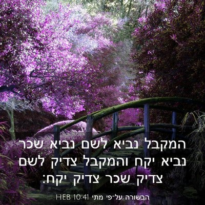 Picture 03 - הבשורה על־פי מתי 10:41 HEB - המקבל נביא לשם נביא שכר - Bible Verse Picture