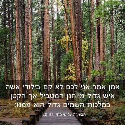 Picture 03 - הבשורה על־פי מתי 11:11 HEB - אמן אמר אני לכם לא קם - Bible Verse Picture